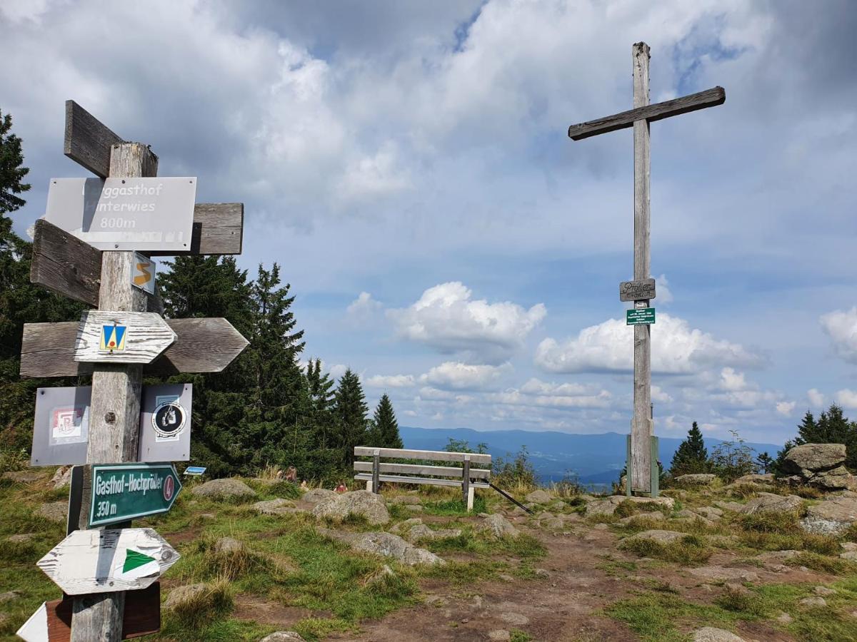Fewo Amalia Sankt Englmar Esterno foto